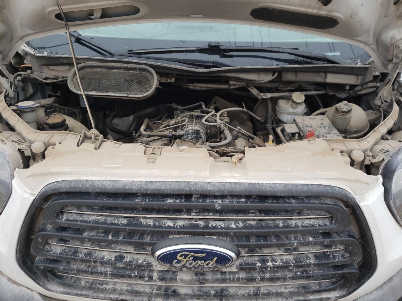 2019 Ford #7