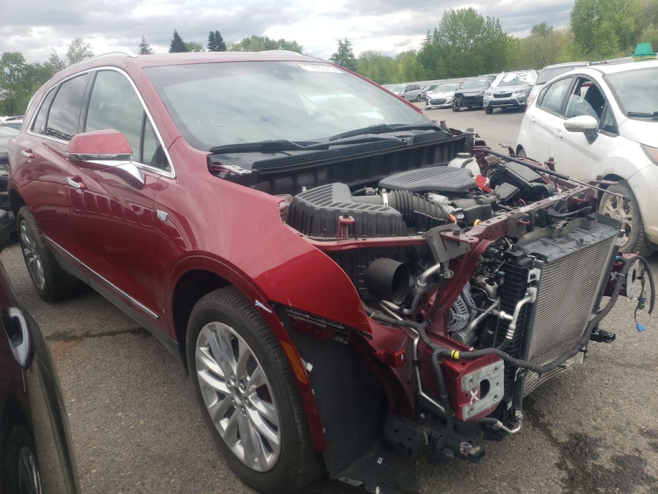 2019 Cadillac #1