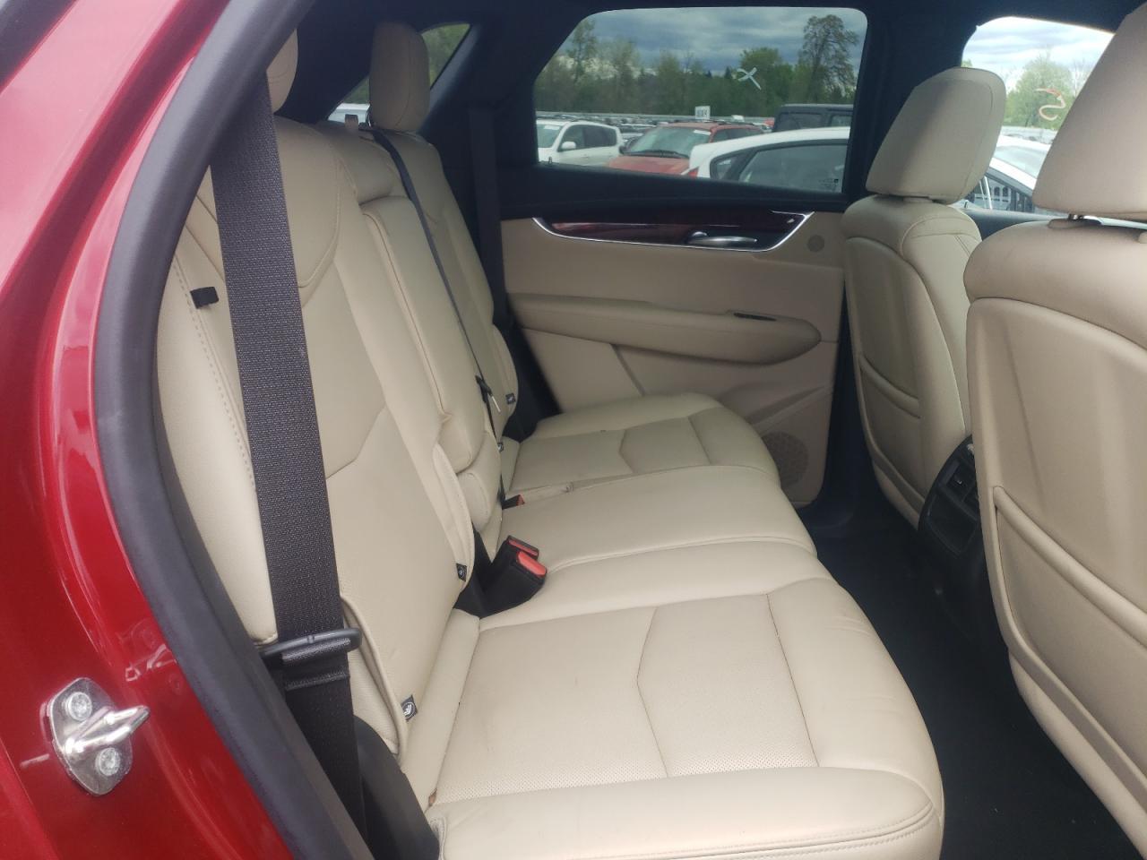2019 Cadillac #6