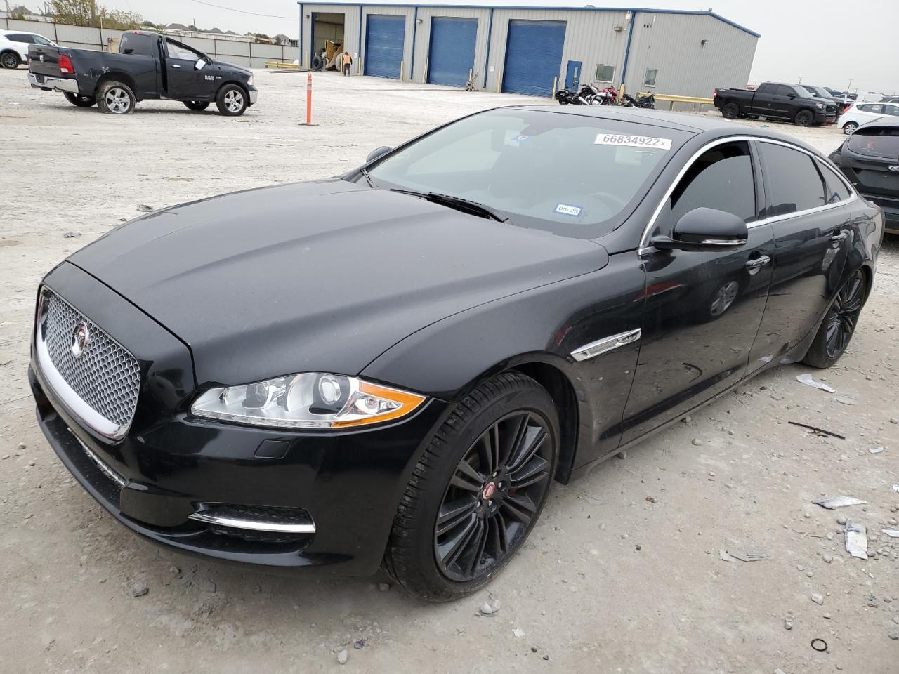 2014 Jaguar #1