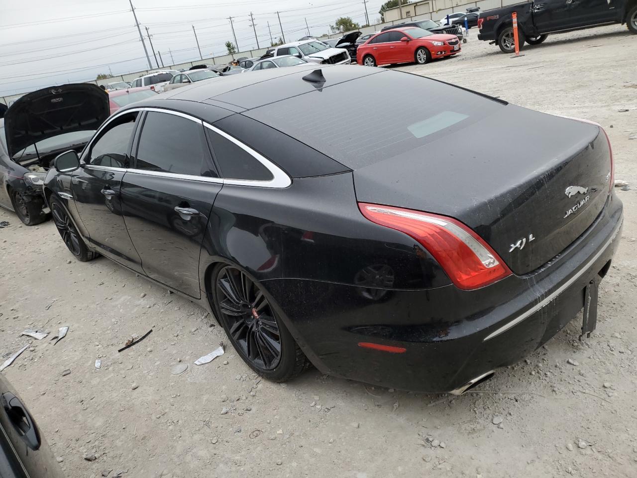 2014 Jaguar #2