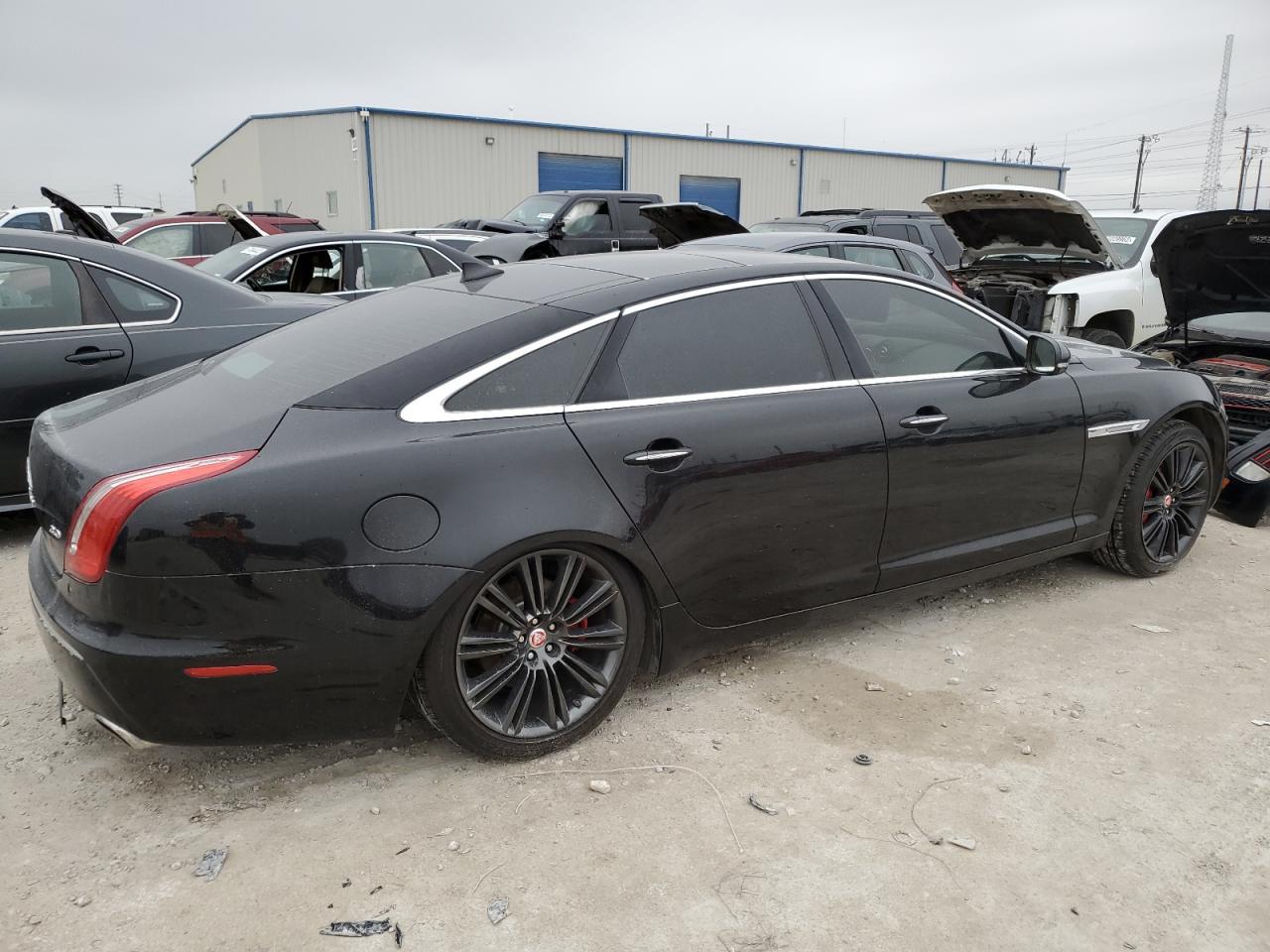 2014 Jaguar #3
