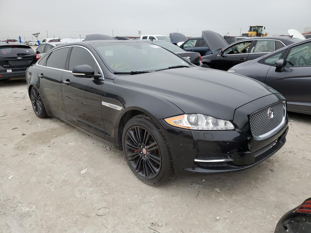 2014 Jaguar #4
