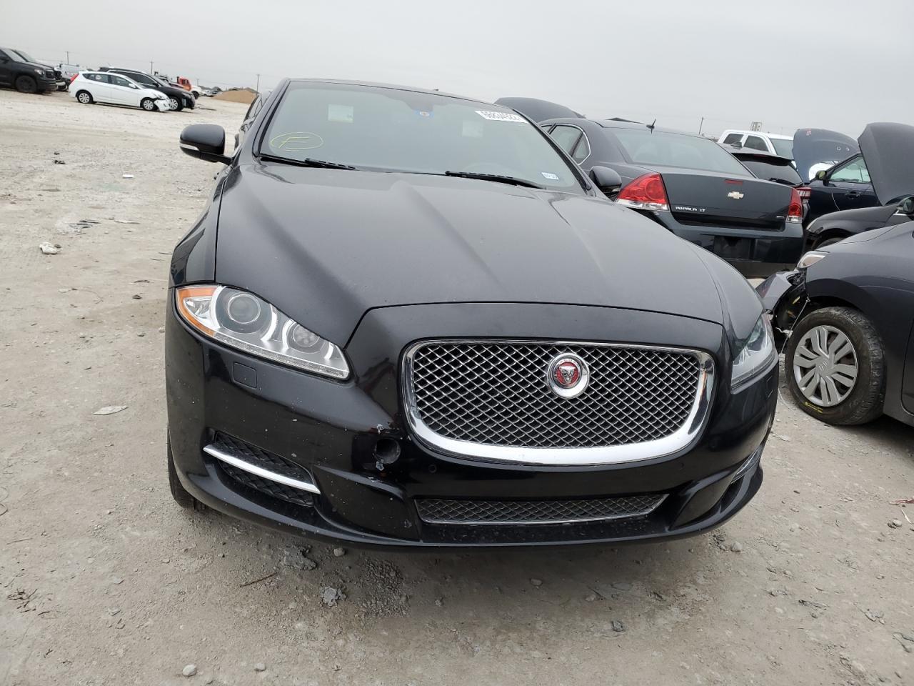 2014 Jaguar #5