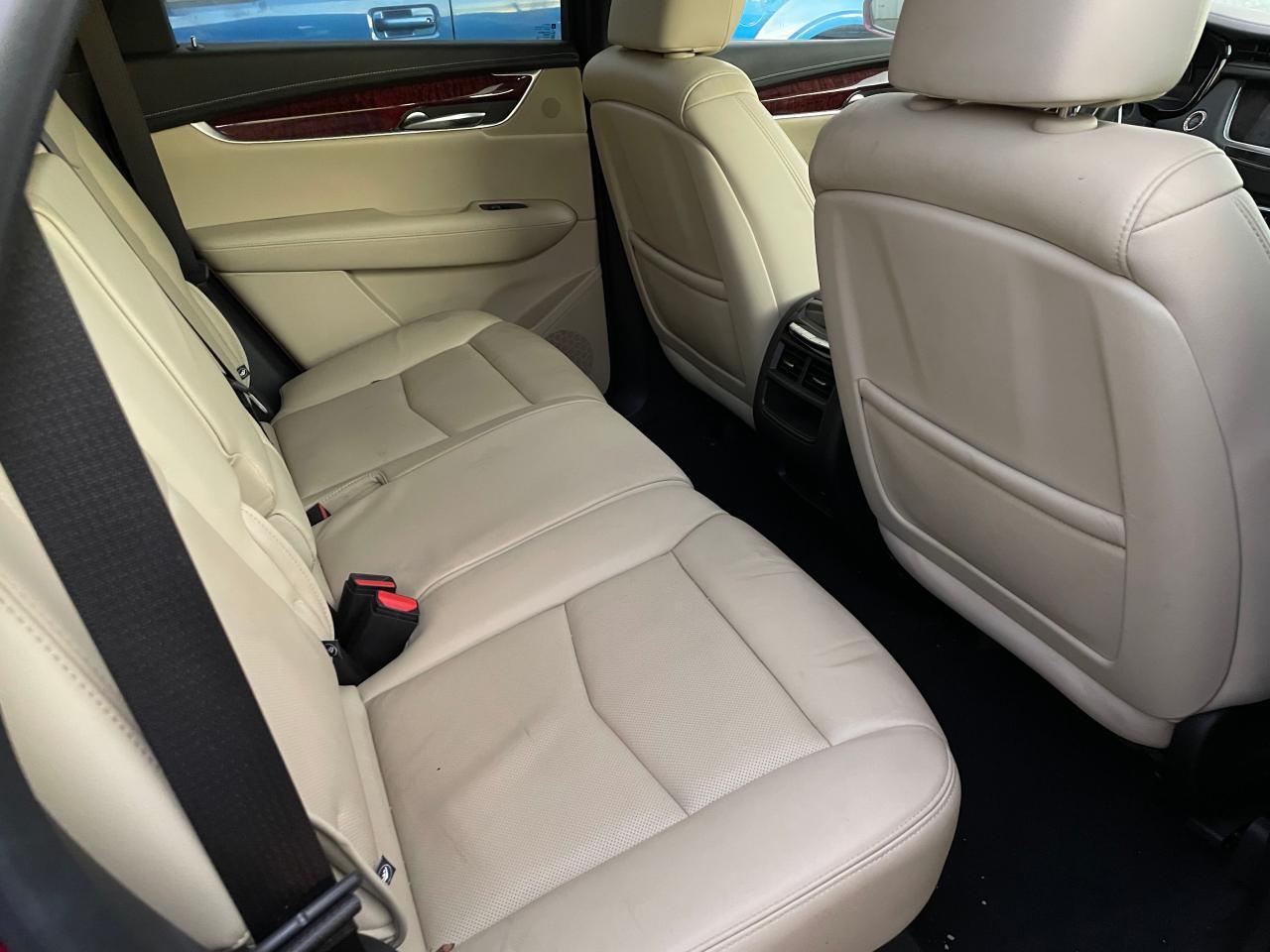 2019 Cadillac #6