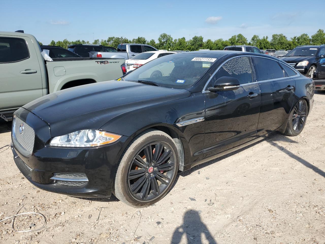 2014 Jaguar #1