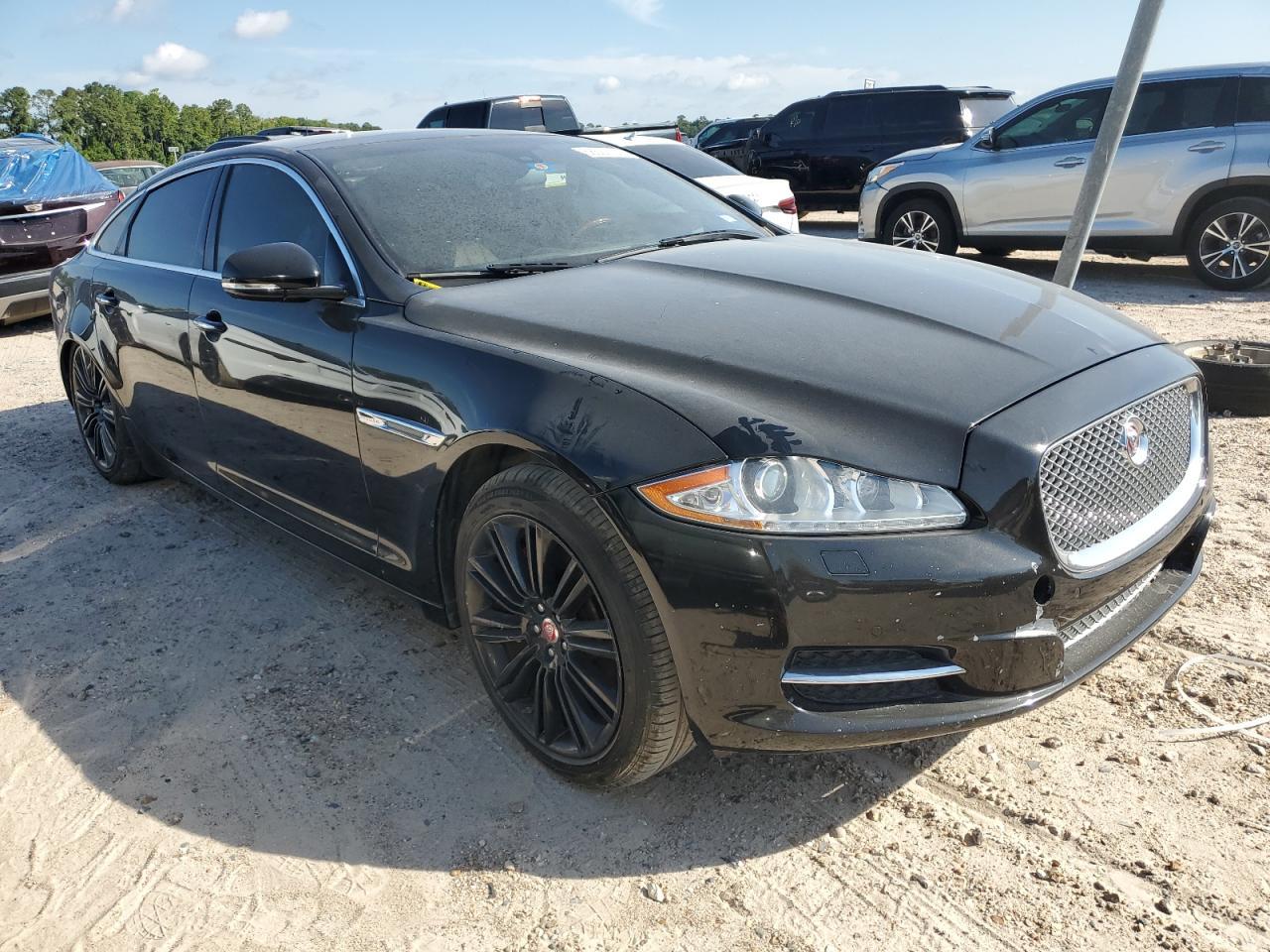 2014 Jaguar #4