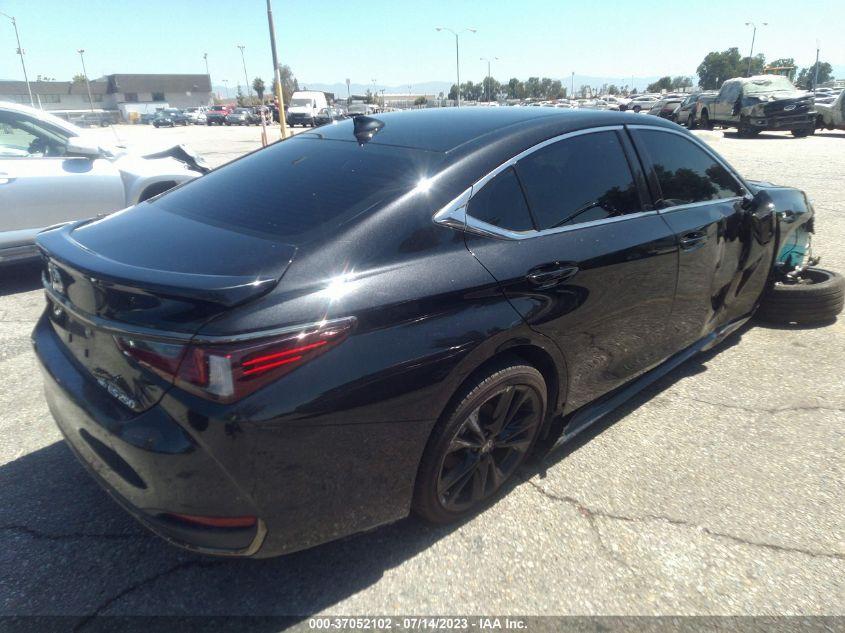 2022 Lexus #4